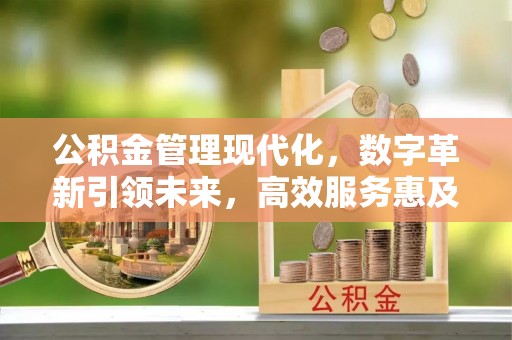 平台公积金管理现代化，数字革新引领未来，高效服务惠及民生
