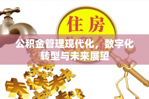 平台公积金管理现代化，数字化转型与未来展望