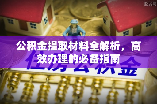 平台公积金提取材料全解析，高效办理的必备指南