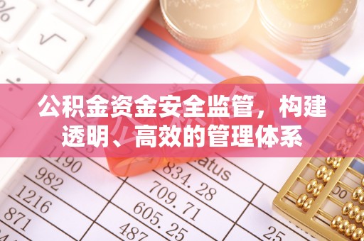 平台公积金资金安全监管，构建透明、高效的管理体系