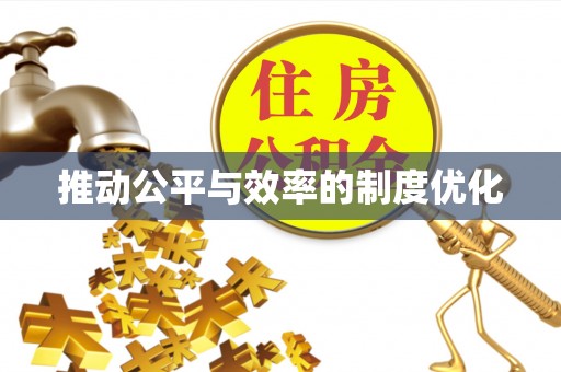 平台推动公平与效率的制度优化