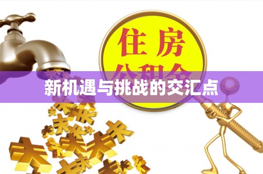 平台新机遇与挑战的交汇点