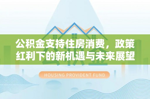 平台公积金支持住房消费，政策红利下的新机遇与未来展望