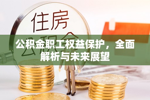 平台公积金职工权益保护，全面解析与未来展望