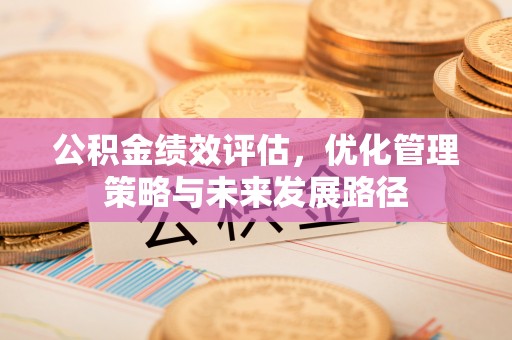 平台公积金绩效评估，优化管理策略与未来发展路径