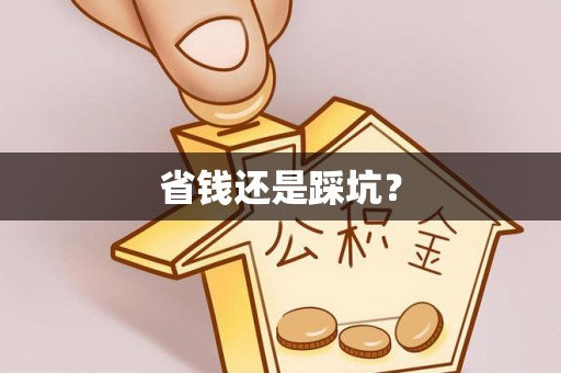 平台省钱还是踩坑？