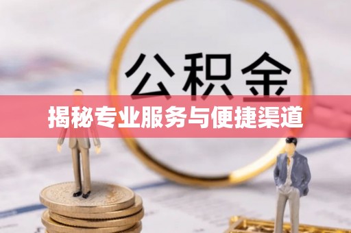 平台揭秘专业服务与便捷渠道