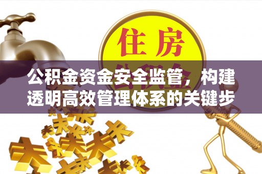 平台公积金资金安全监管，构建透明高效管理体系的关键步骤
