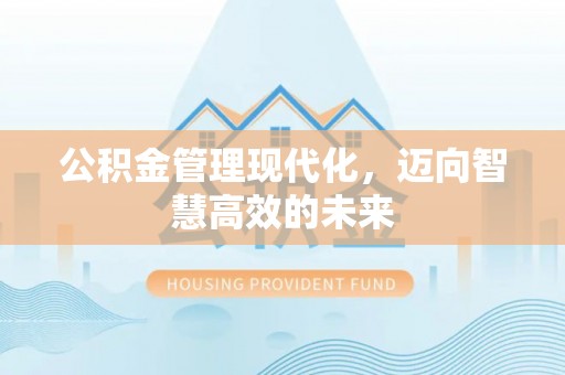 平台公积金管理现代化，迈向智慧高效的未来
