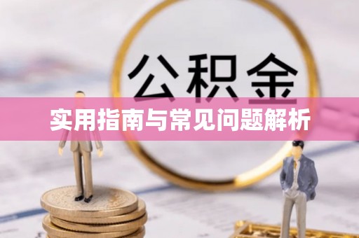 平台实用指南与常见问题解析
