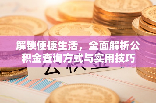 平台解锁便捷生活，全面解析公积金查询方式与实用技巧