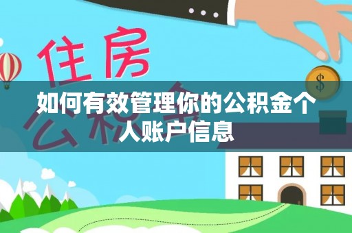 平台如何有效管理你的公积金个人账户信息