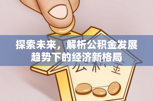 平台探索未来，解析公积金发展趋势下的经济新格局