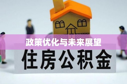 平台政策优化与未来展望