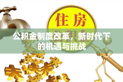 平台公积金制度改革，新时代下的机遇与挑战