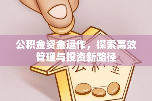 平台公积金资金运作，探索高效管理与投资新路径