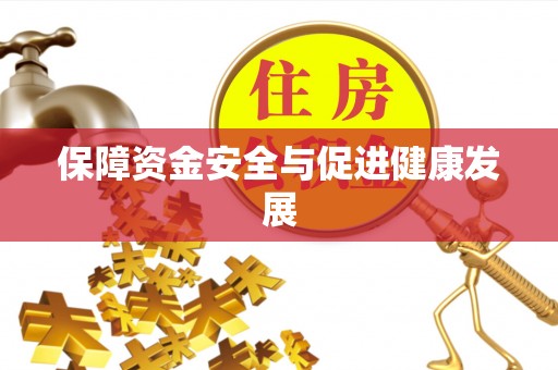 平台保障资金安全与促进健康发展
