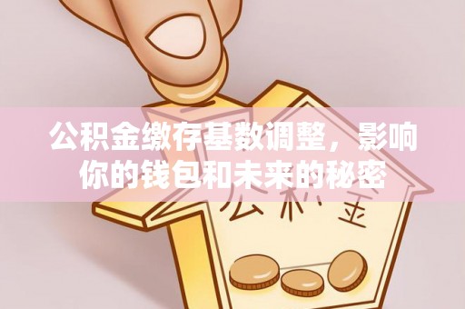 平台公积金缴存基数调整，影响你的钱包和未来的秘密