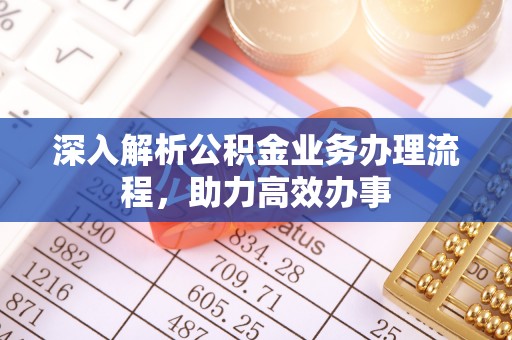 平台深入解析公积金业务办理流程，助力高效办事