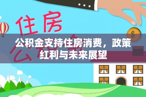 平台公积金支持住房消费，政策红利与未来展望