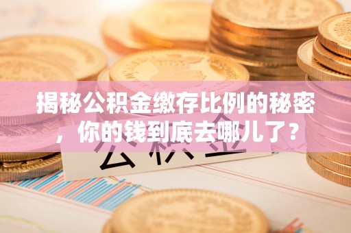 平台揭秘公积金缴存比例的秘密，你的钱到底去哪儿了？