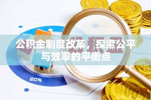 平台公积金制度改革，探索公平与效率的平衡点
